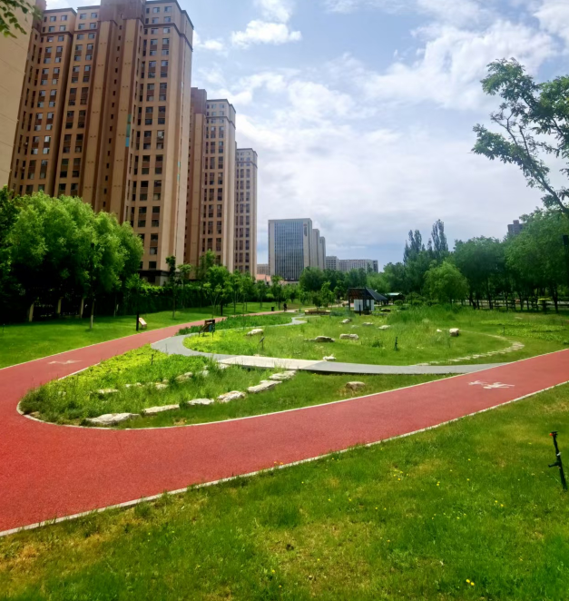 微信图片_20250623173916_275.png