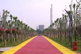 海绵城市公园建设